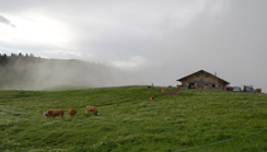 L'autre versant de Gstaad