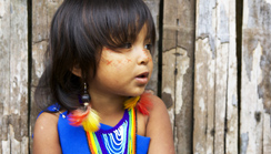 Pura Vida - Quer Durch Ecuador