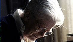 “Die Frau mit den 5 Elefanten” nominated for the German Film Prize 2010