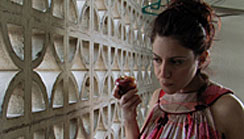 Three Swiss short films at the film festival in Aspen (USA)