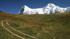 Lauberhornrennen im Sommer