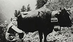 Schweizer Filme in Yamagata, Osaka, Tokio und Hiroshima