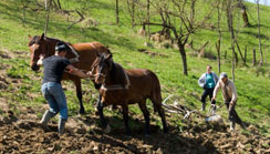 Biarritz presents Swiss documentary films